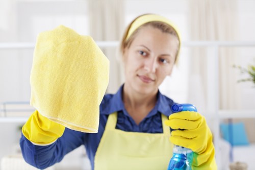 Professional hard floor cleaning in Acton for residential and commercial properties