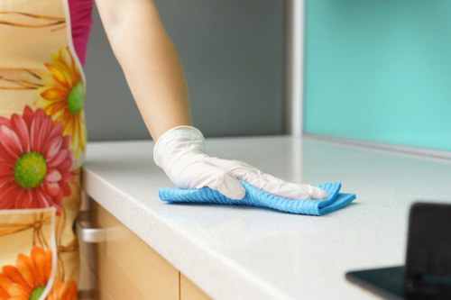 Professional oven cleaning service for homes in Acton
