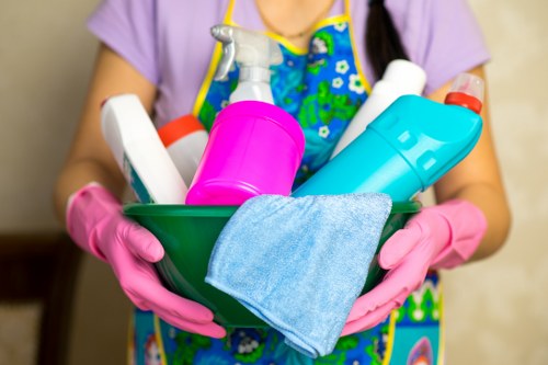 Professional oven cleaner service in Acton for a clean kitchen appliance