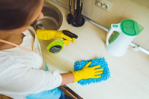 Detailed oven deep cleaning in Acton removing grease and burnt residue