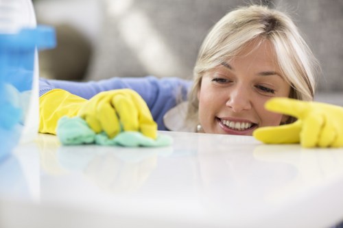 Professional upholstery cleaning process on a fabric sofa
