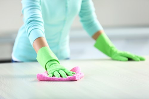 Professional carpet cleaning service for Acton homes and businesses